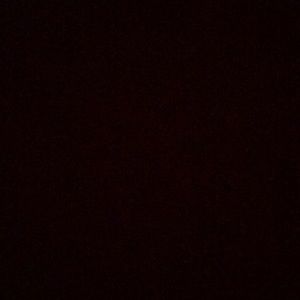 Meet your Posher, Freya